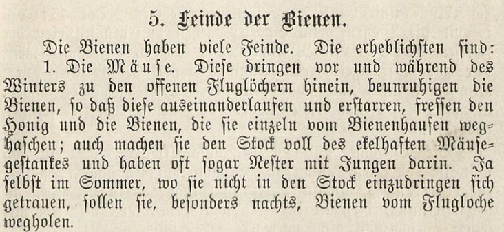 HuberBienenzuchtMäuse